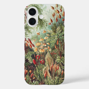 Ernst Haeckel Moos Naturdruck Dark Academia iPhone 16 Hülle