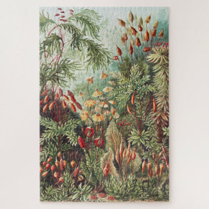 Ernst Haeckel Moos Naturdruck Dark Academia Puzzle