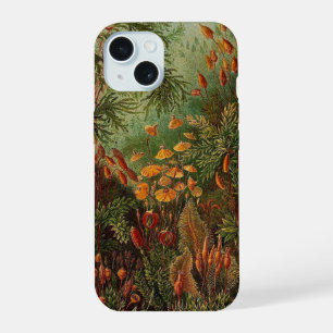Ernst Haeckel Muscinae Vintage-Illustration iPhone 15 Hülle
