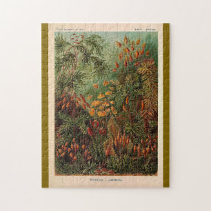 Ernst Haeckel Muscinae Vintage Illustration Puzzle