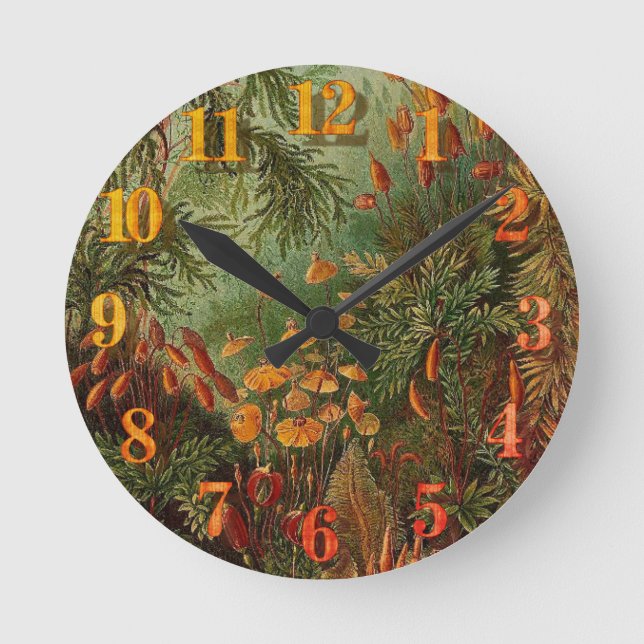 Ernst Haeckel Muscinae Vintage Illustration Runde Wanduhr (Vorderseite)