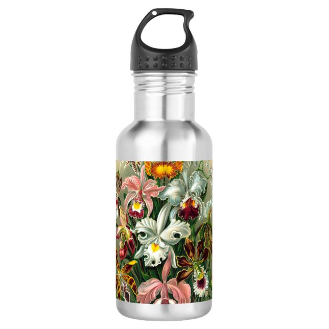 Ernst Haeckel Naturalista Edelstahlflasche (Vorderseite)