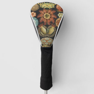 Ernst Haeckel Nautilus Meer Lebens Kunst Collage Golf Headcover