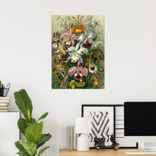 Ernst Haeckel Orchideen, Vintage Regenwald Blumen Poster