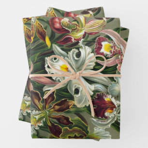 Ernst Haeckel Orchideen, Vintage Regenwaldblumen Geschenkpapier Set