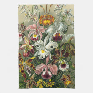 Ernst Haeckel Orchideen, Vintage Regenwaldblumen Geschirrtuch