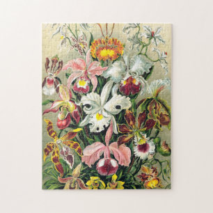 Ernst Haeckel - Orchids Puzzle