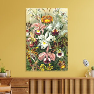 Ernst Haeckel Orchids, Vintage Regenwald-Blume Leinwanddruck