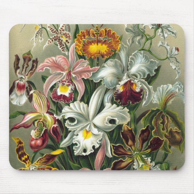 Ernst Haeckel Orchids, Vintage Regenwald-Blume Mousepad (Vorne)