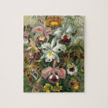 Ernst Haeckel Orchids, Vintage Regenwald-Blume