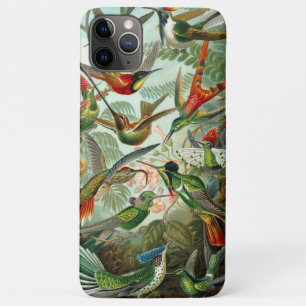 Ernst Haeckel Prächtige lebendige Kolibris Case-Mate iPhone Hülle