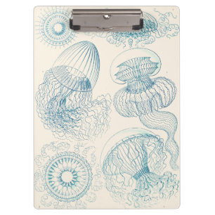 Ernst Haeckel Quallen Vintage Wissenschaftskunst Klemmbrett