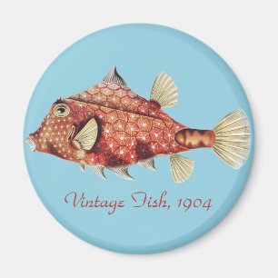 Ernst Haeckel Schiffs- Roter Kofferfisch Meerestie Magnet