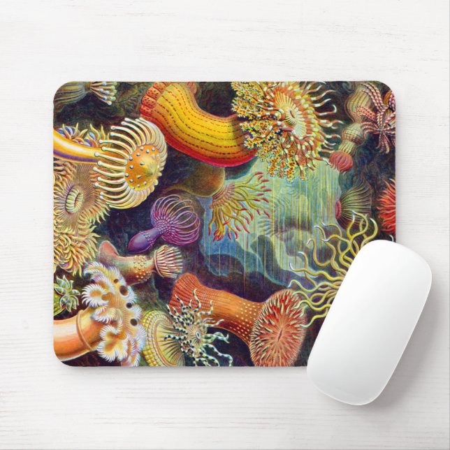 Ernst Haeckel Sea Anemones Marine:Actiniae Mousepad (Mit Mouse)