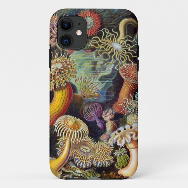 Ernst Haeckel-Seeanemonen Case-Mate iPhone Hülle (Rückseite)