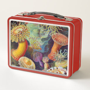 Ernst Haeckel-Seeanemonen-Marinesoldat: Actiniae Metall Lunch Box