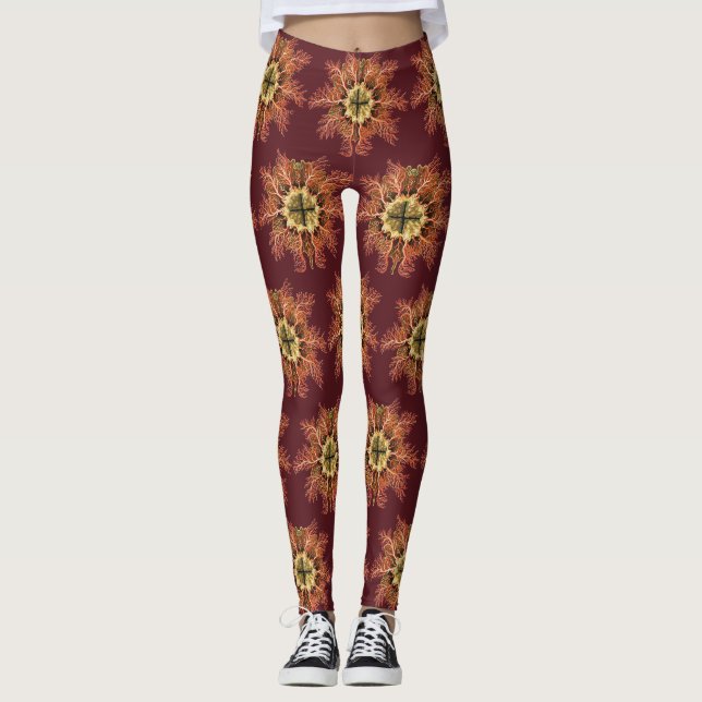 Ernst Haeckel Seescheide Rotes Meer Lebens Kunst Leggings (Vorderseite)