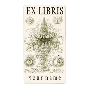 Ernst Haeckel Siphonophorae Exlibris