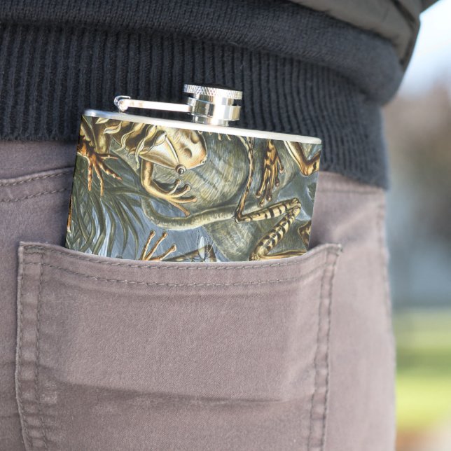 Ernst Haeckel-Sorte exotischer Frösche:Batrachia Flachmann (Beispiel)