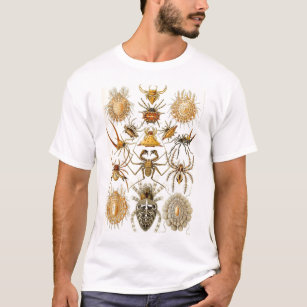 Ernst Haeckel - spinnenartige Tiere T-Shirt