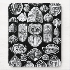 Ernst Haeckel Spirobranchia Mousepad