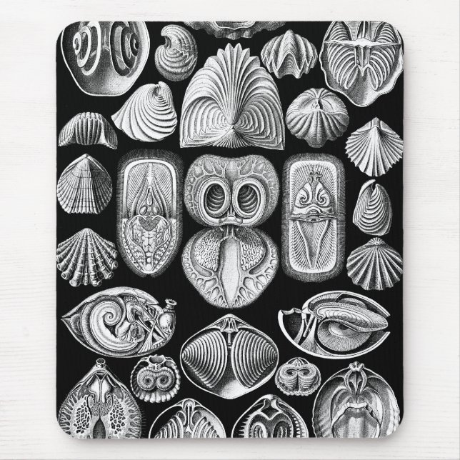 Ernst Haeckel Spirobranchia Mousepad (Vorne)