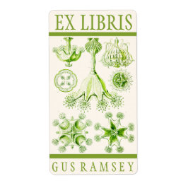 Ernst Haeckel Stauromedusae Buchzeichen