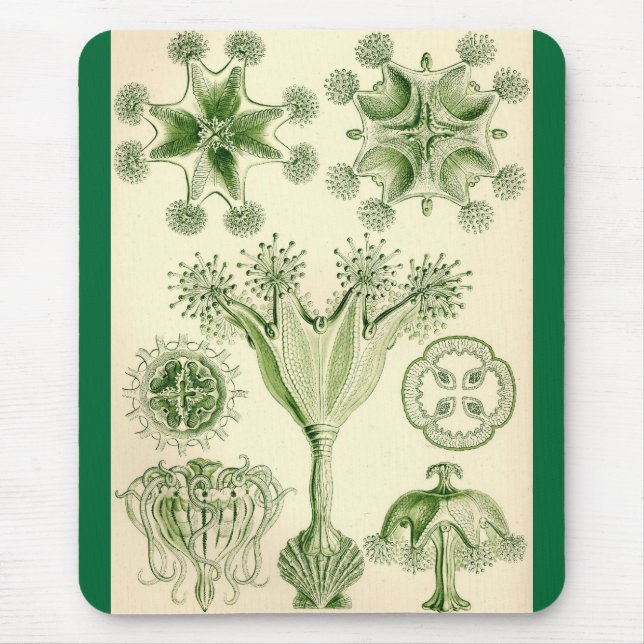 Ernst Haeckel - Stauromedusae Quallen Mousepad (Vorne)