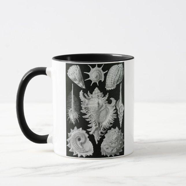 ERNST HAECKEL TASSE (Links)
