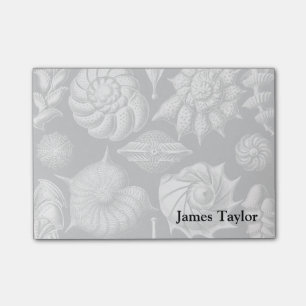 Ernst Haeckel Thalamophora II Post-it Klebezettel