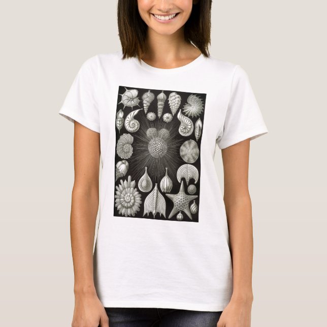 Ernst Haeckel Thalamphora T-Shirt (Vorderseite)