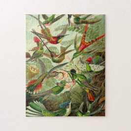 Ernst Haeckel Trochilidae Hummingbird Puzzle