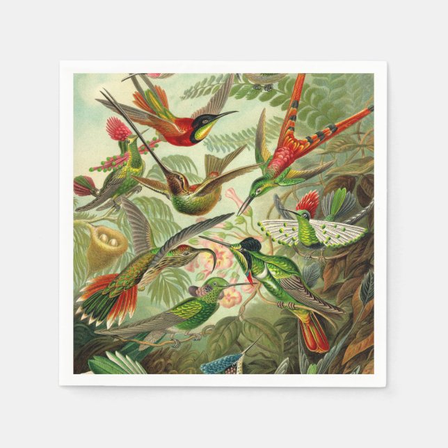 Ernst Haeckel Trochilidae Hummingbird Serviette (Vorderseite)