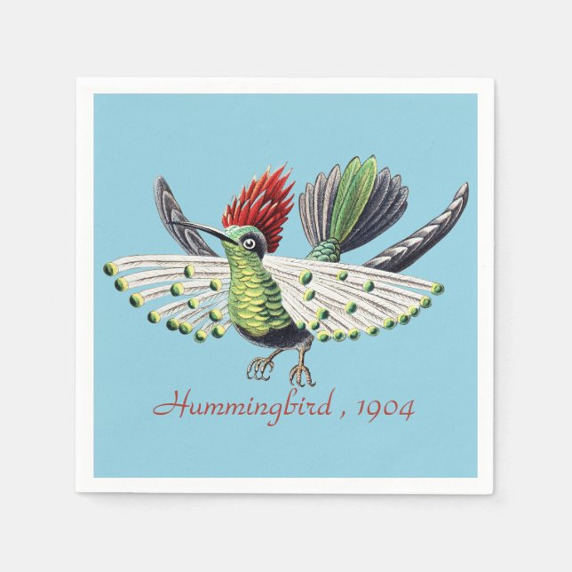 Ernst Haeckel Vintag Hummingbird Bird Serviette (Vorderseite)
