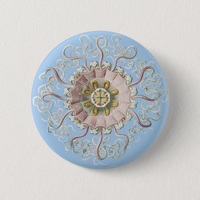 Ernst Haeckel Vintag Jellyfish Marine Life Button (Vorderseite)