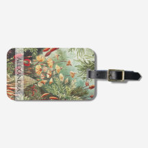 Ernst Haeckel Vintag Retro Mushroom