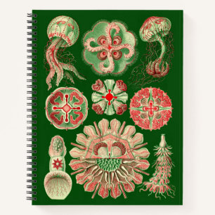 Ernst Haeckel Vintage-Qualle-Illustration Notizbuch