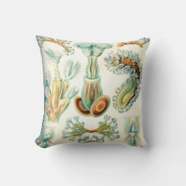 Ernst HaeckelBryozoawirbellose tiere Kissen