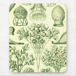 Ernst HaeckelCiliata Mousepad