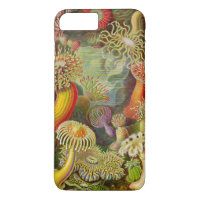 Ernst Haeckel's Actinae Ocean Life
