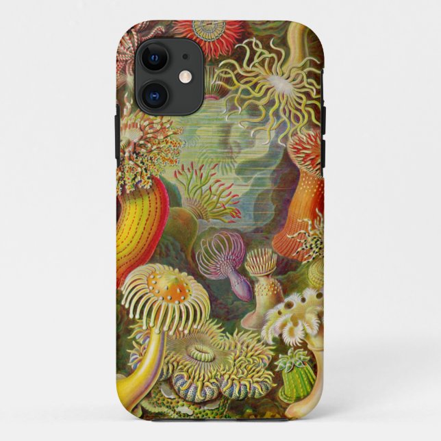 Ernst Haeckel's Actinae Ocean Life Case-Mate iPhone Hülle (Rückseite)