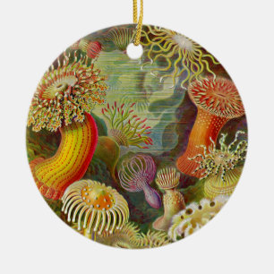 Ernst Haeckels Actinae Ozean-Leben Keramikornament