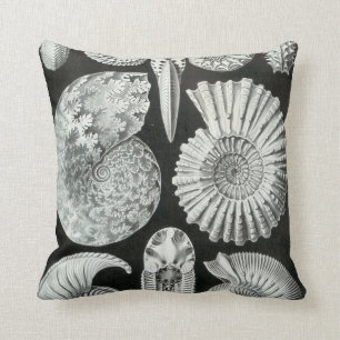 Ernst Haeckels Ammonites Kissen