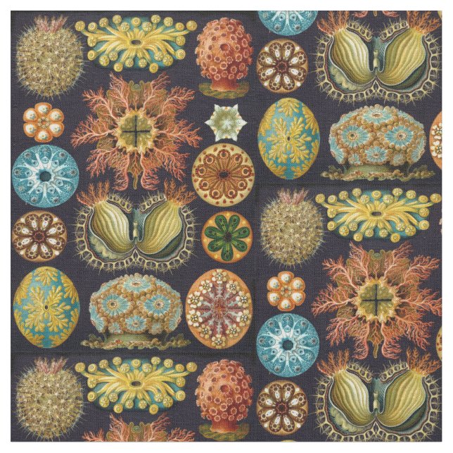 Ernst Haeckels Ascidiae Ozean-Leben Stoff (Nahaufnahme)