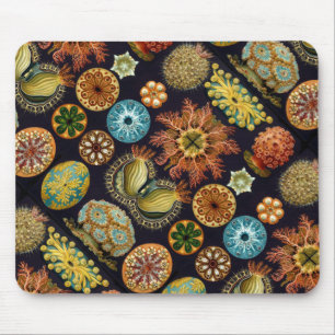 Ernst Haeckels Ascidiae Ozeanleben Mousepad
