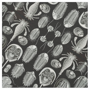 Ernst Haeckels Aspidonia Stoff