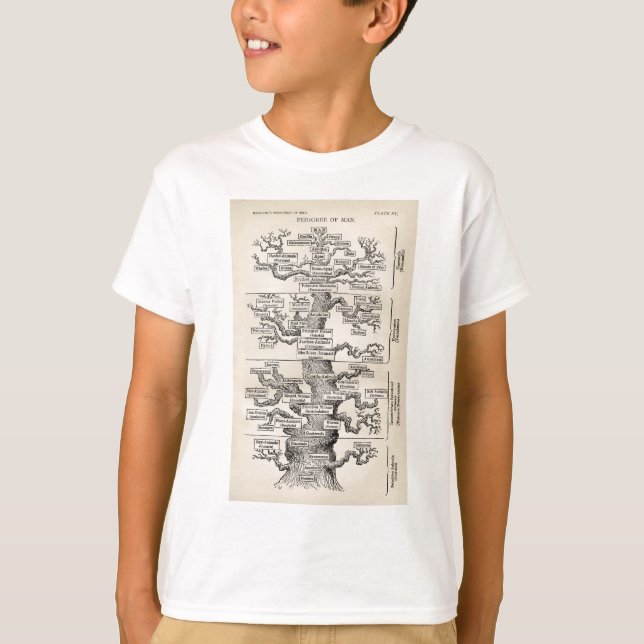 Ernst Haeckels "Baum des Lebens " T-Shirt (Vorderseite)