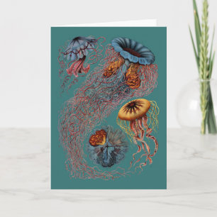 Ernst Haeckels Disco Medusae Karte