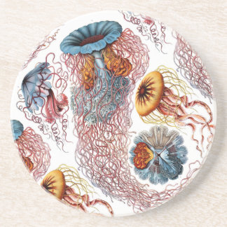 Ernst Haeckels Disco Medusae Sandstein Untersetzer