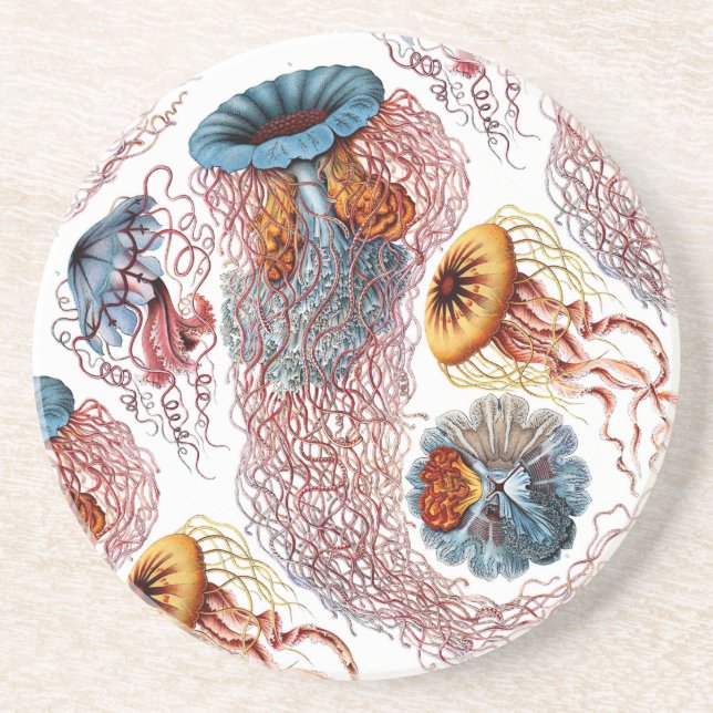 Ernst Haeckels Disco Medusae Sandstein Untersetzer (Vorne)